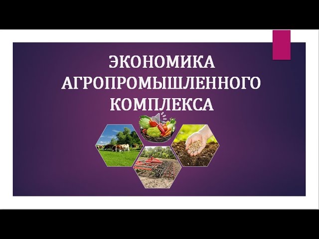Виртуальная выставка НИБЦ &quot;Экономика агропромышленного комплекса&quot;