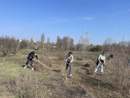 img-55d446f6452726866e9ad0156d1a9dc0-v